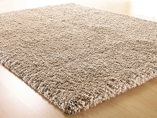 SERVICIO DE FUMIGACION DE CHINCHES DF